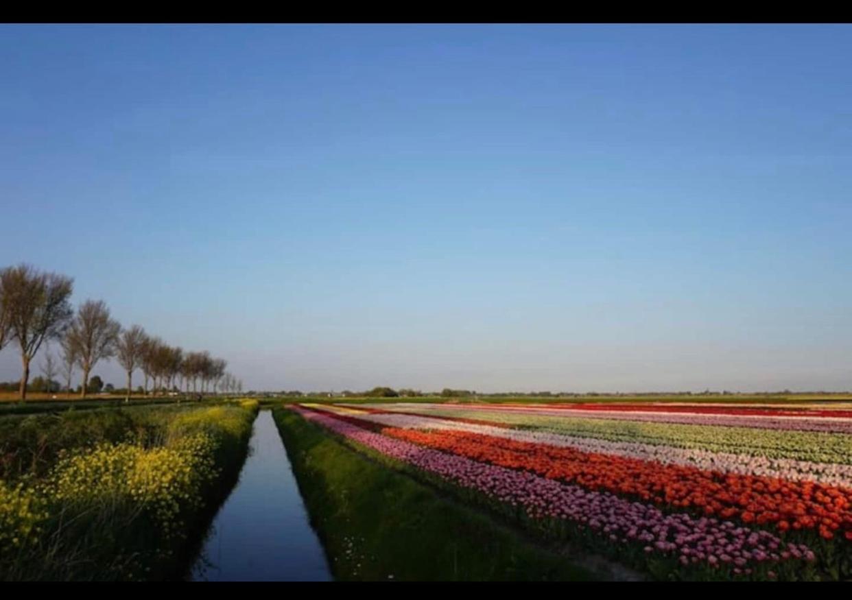 Cozy Chalet In Opmeer Near Amsterdam And Beach Ngoại thất bức ảnh