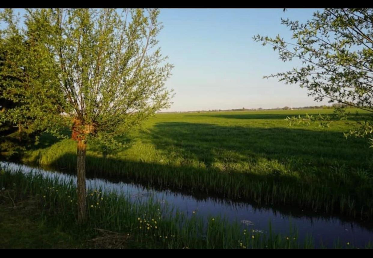 Cozy Chalet In Opmeer Near Amsterdam And Beach Ngoại thất bức ảnh