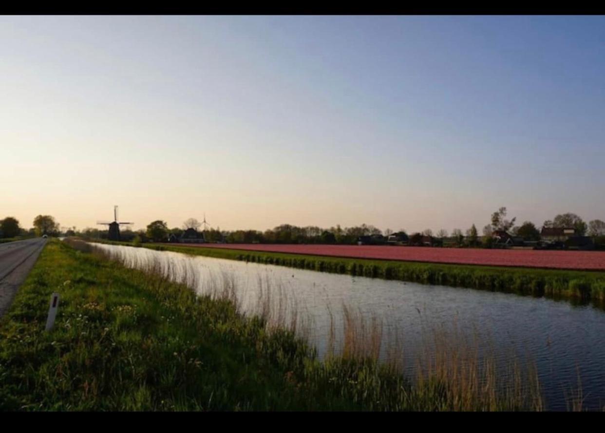 Cozy Chalet In Opmeer Near Amsterdam And Beach Ngoại thất bức ảnh